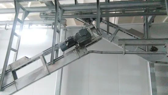 Fully Automatic Slaughtering Equipment for Cattle - Image 4