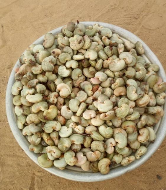 Raw Cashew nuts - Image 4