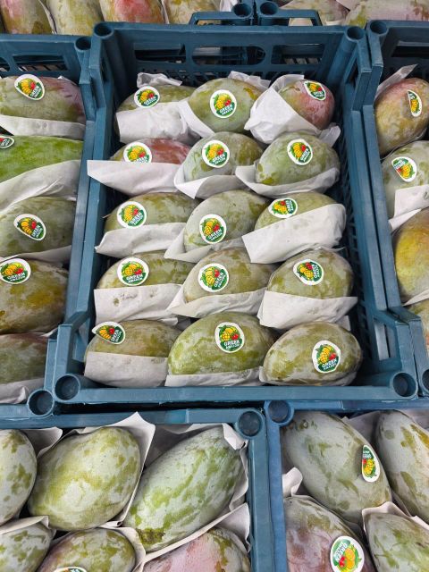 Fresh Mango Organic Yes Origin Egypt Degree of Processing Frozen Degree Of Maturity Mature, Semi-Ripe, Unripe - Image 5