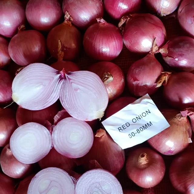 Fresh Mixed Onions – Red, Yellow, White and Shallot Export Supply - Image 5