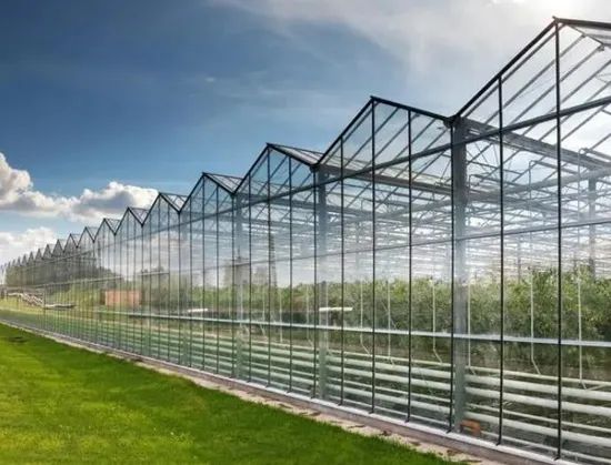 Agg Free Sample 4X8 UV Weather Resistance Plastic Sunroof Polycarbonate Sheet 5mm 7mm 10mm Polycarbonate Glass Greenhouse Panels - Image 5