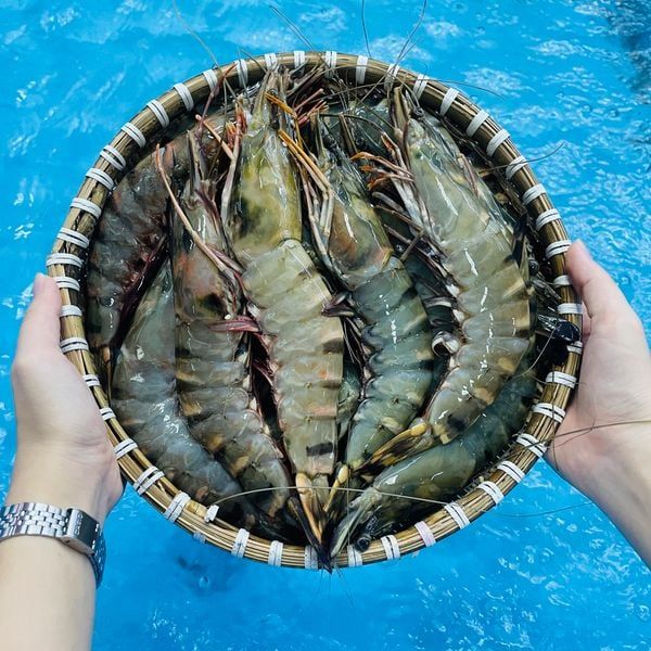 Tiger Prawn Size 8-10 Pieces - Image 3
