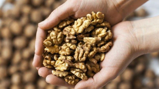 Premium Quality Walnuts – In-Shell & Kernels | Export Grade | Bulk Supply – product photo 3, product detail gallery
