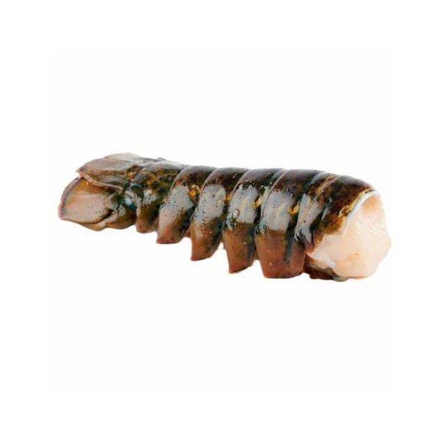 Royal spiny lobster for bulk export and fine dining suppliers - Image 3