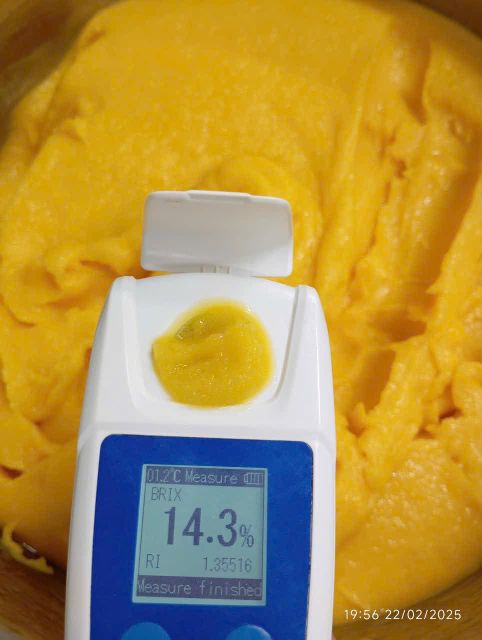 Frozen Kaew Mango Dices (10x10mm / 20x20mm) - Image 3