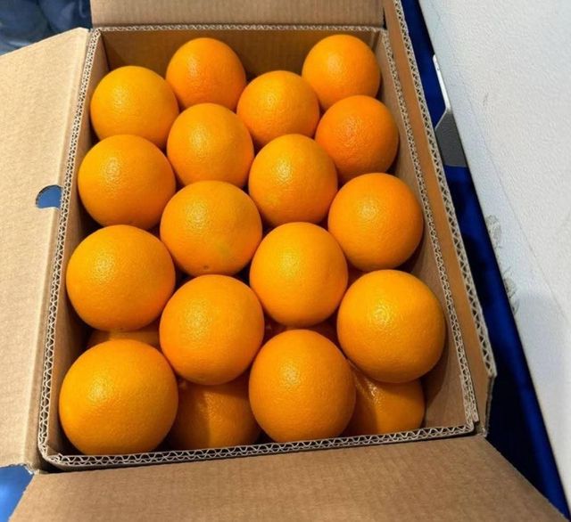 Fresh Valencia Oranges South Africa Sweet Juicy Premium Quality 15KG Cartons For Export - Image 4