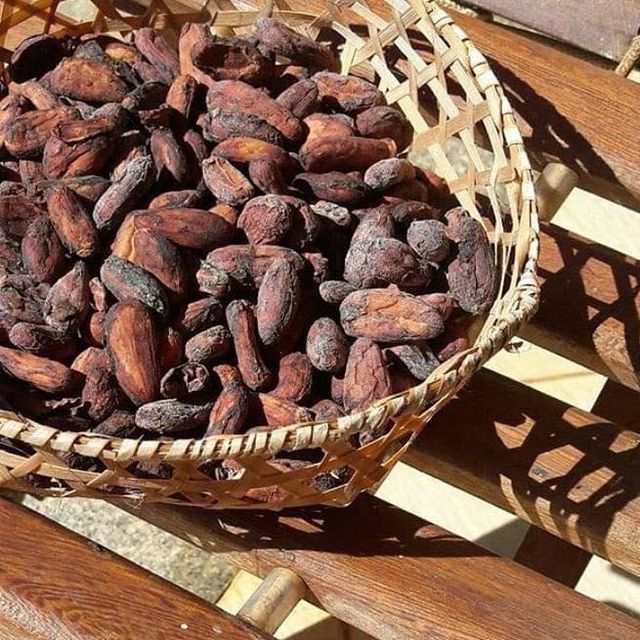 Organic Vietnamese Cocoa Beans Top Quality Chocolate Beans in Bulk Affordable Price Trusted Export Supplier Please whatsap +255787979235 - Image 3