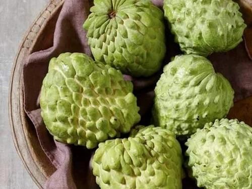 Custard Apple (Sitaphal) Packaging 25kg-50kg Color Green, Scaly Skin Texture Soft, Creamy White Pulp Seed Content Filled With Black Seeds - Image 2
