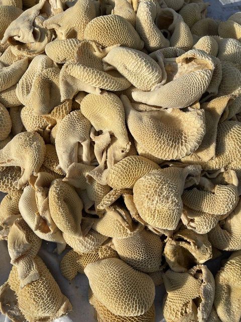 Beef tripe - Image 1