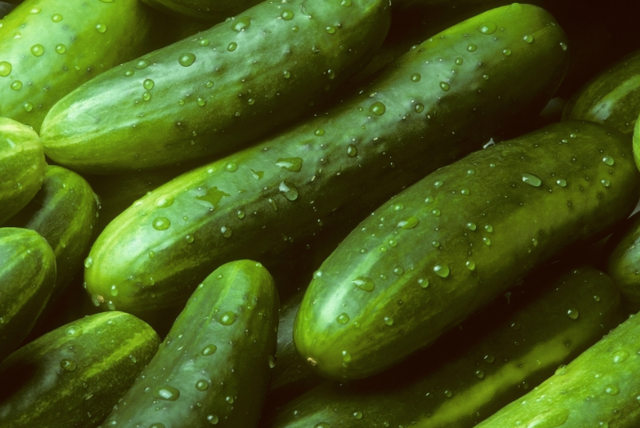 Fresh Cucumber – product photo 4, product detail gallery