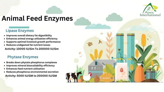 Phytase Enzyme, Phytase Enzyme For Animal Feed, Animal Feed Enzymes, Animal Food Enzymes, Animal Food, Animal Feed, Phytase Animal Feed, Animal Feed Processing Enzyme, Animal Food Enzymes, Phytase, Enzyme, Phytase Enzyme Supplier, Phytase Enzyme Supplier From India - Image 3
