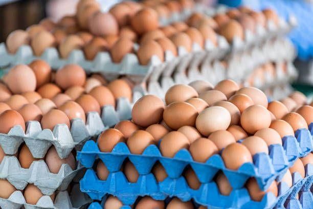 Farm Fresh Brown and White Shell Chicken Table Eggs Grade A Size 5 G Part White Type BROWN Length 3 Cm Style Fresh Organic Yes - Image 4