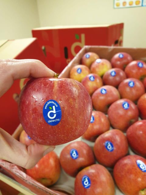 Fresh Fuji Apples for sale class 1 export quality - Image 2