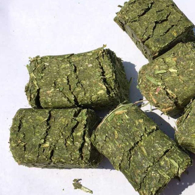 Fresh Alfalfa Hay Natural And High Quality Alfalfa Hay Supplied In Bulk For Livestock Farms - Image 2