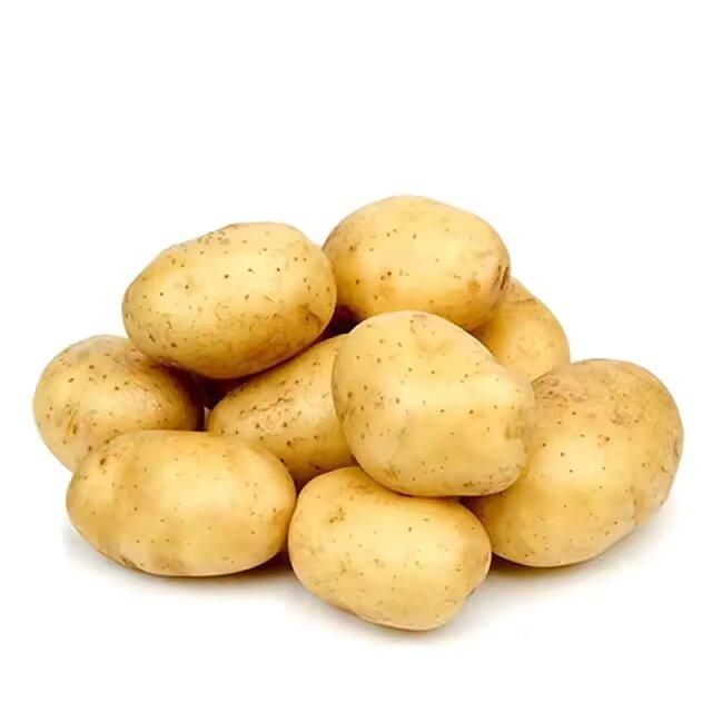 Export Quality Fresh Potato Natural Vegetables Fresh farm healthy Potatoes at Low Prices Wholesale – product photo 5, product detail gallery