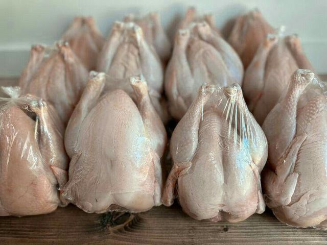 Premium Whole Frozen Chicken - Image 2