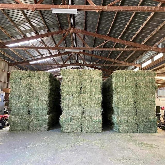 Premium Alfalfa Hay for Animal Feed – High Protein, Nutrient-Rich, Export Quality - Image 3