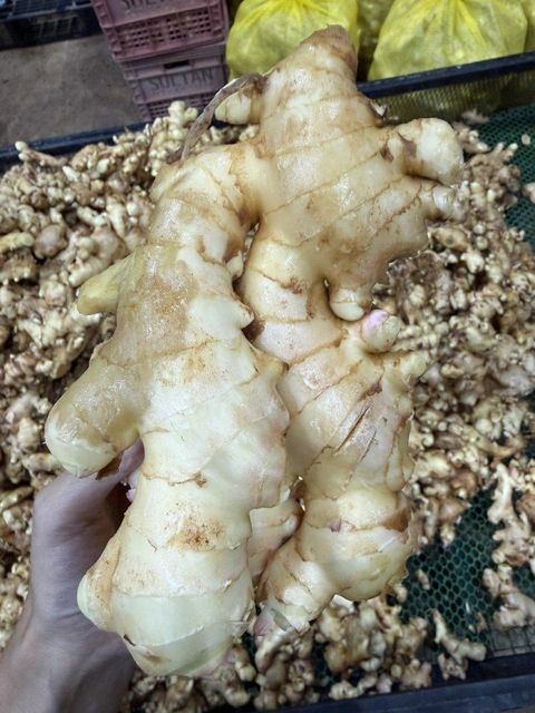 Fresh Raw Ginger (Thailand Origin) – product photo 4, product detail gallery