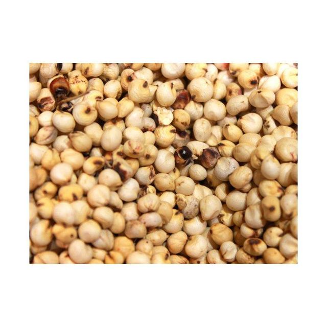Wholesale sorghum grains bulk stock available with quality certification - Image 2