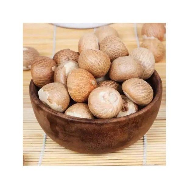 Betel Nut Dried in Hot Sale With High Quality Newly Crop in Ready For Export - Image 2