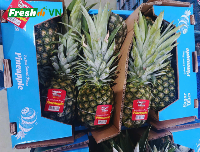 High Quality Fresh Pineapple - Image 4