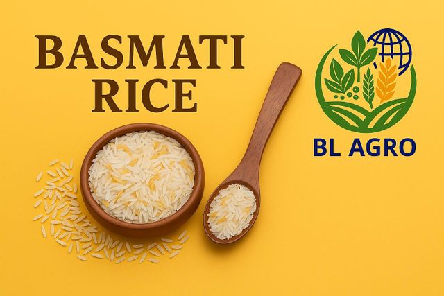 1121 SELLA BASMATI RICE – product photo 1, product detail gallery