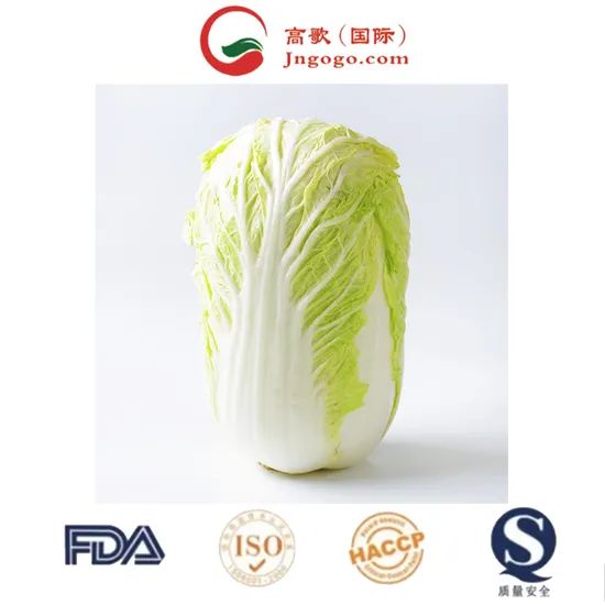 Delicious Frozen Chinese Cabbage Size 1.5kg Kind Fresh Color Green Origin China Trademark GOGO HS Code 0706100001 Storage Method - Image 4