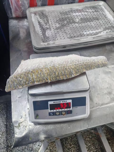 Frozen Mullet Fillet - Image 1