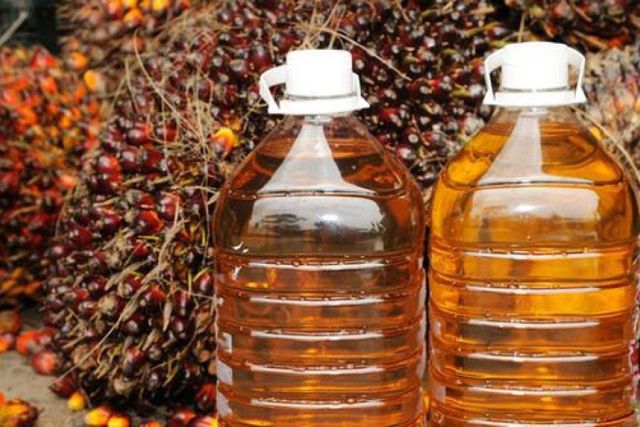 Red Palm Oil / Refined Palm Oil / Palm Kernel Oil For Sale Palm Oil Factory Supply Food Grade Palm Cooking - Image 5