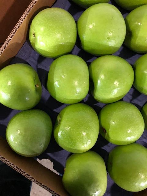 Fresh Class 1 Granny Smith Apples Availabe - Image 3