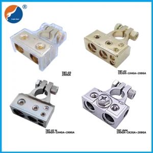 Quick Release Battery Terminal with Plastic Cover Origin China Species Terminal Trademark Tianrui HS Code 7326209000 Certification - Image 1