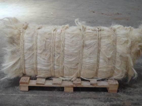 Sisal Fibre : Raw White, Natural, 110-130 cm, 0.35 Micron, For fabric Suppliers - Image 5