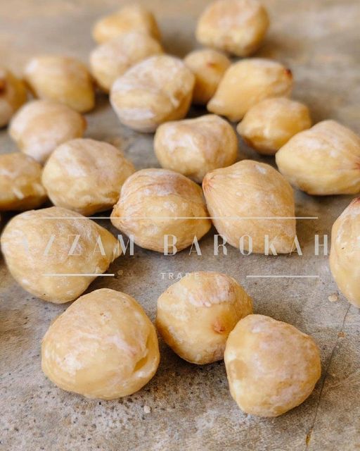 Candlenut Premium Grade Type FOB Size 15-20 mm Grade A Premium Max. Moisture (%) 6 Shape Whole candlenut Packaging Sealed vacum - Image 2