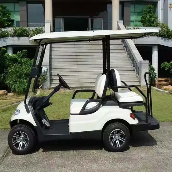 Custom Golf Cart Electric Car Golf Equipment Golf Trolley Service OEM Power 600-1700W Color Customized Battery 8V 6 - Image 5