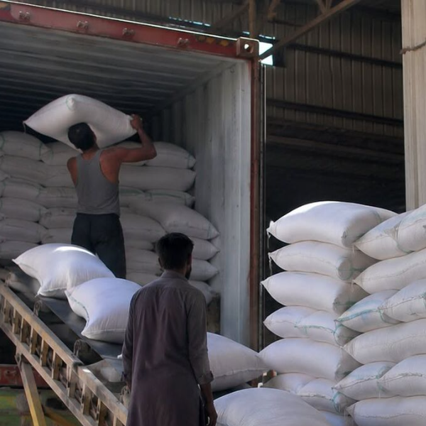 Buy High quality pusa raw basmati rice - Image 2