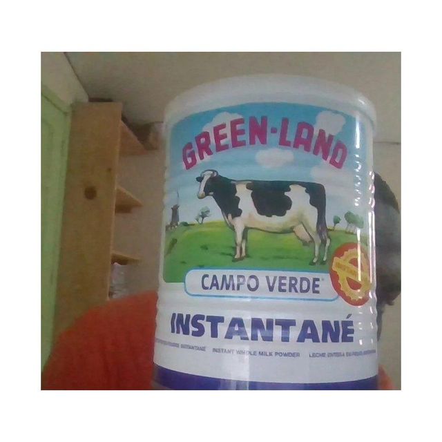 Wholesale Green-Land Campo Verde Instant Milk Large Scale Trade - Image 4