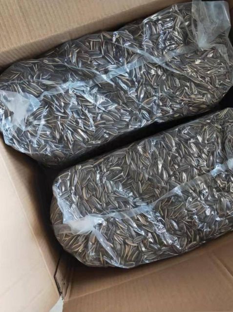 Premium Quality Sunflower Seeds – High Oil Content, Rich in Nutrients, Ideal for Food and Oil Production - Image 3