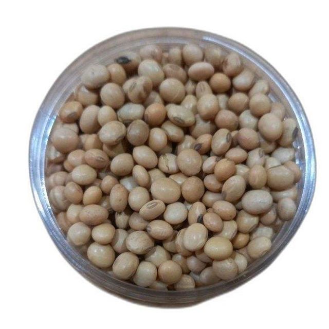 Protein Rich Soybean Seed For Food With Carefully Selected Kernels Natural Freshness And Trusted Agricultural Origin - Image 4