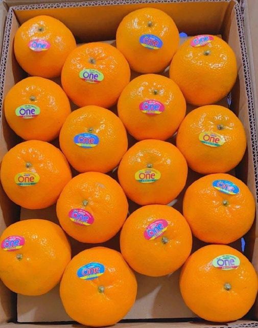 Mandarin kinnow Origin Pakistani Fruit Type Kinnow And - Image 3