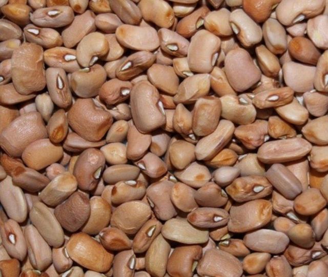 Red palm oil, White & Red sweet potato, Matoke, Soyabeans, Sweet honey brown beans, - Image 4