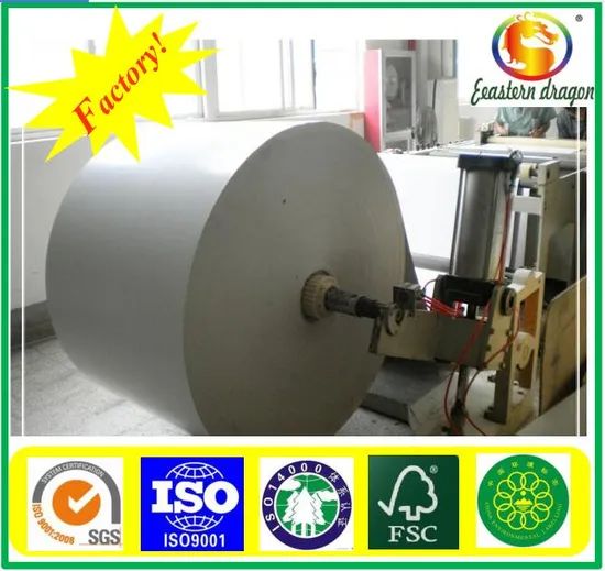 230g Double PE Coated Paper/Tea Cup paper - Image 3