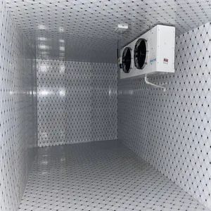 Best Customized Supermarket Chicken and Meat Cold Room Storage Freezer - Image 2