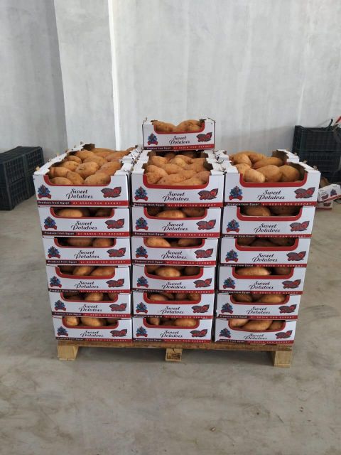 Sweet potatoes - Image 4