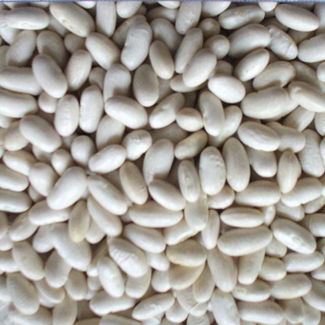 99% Clean White Kidney Beans Bulk Supply For Global Food Importers Premium White Kidney Beans Natural Protein Rich Beans - Image 3