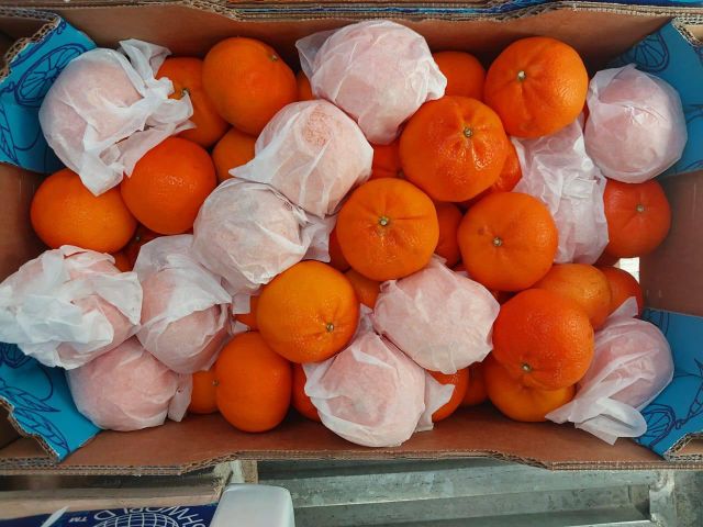 Premium Nadorcott Mandarins from South Africa!! CLASS 1 Export Quality! NEW CROPS!! - Image 4