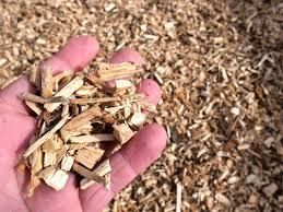 Eucalyptus, Pine, Acacia, Rubber Wood Chips for sale - Image 4