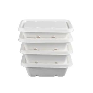 Biodegradable Compostable 90D Plates Custom Embossing MOQ100 1Y - Image 5