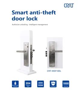 Flexible Remote Control Smart Door Lock Mechatronic 304SS Fail-Secure IP65 12VDC 100000T 15D - Image 4