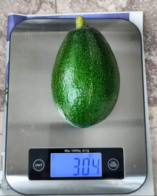 Organic Tropical Hass Avocado Fresh - Image 2