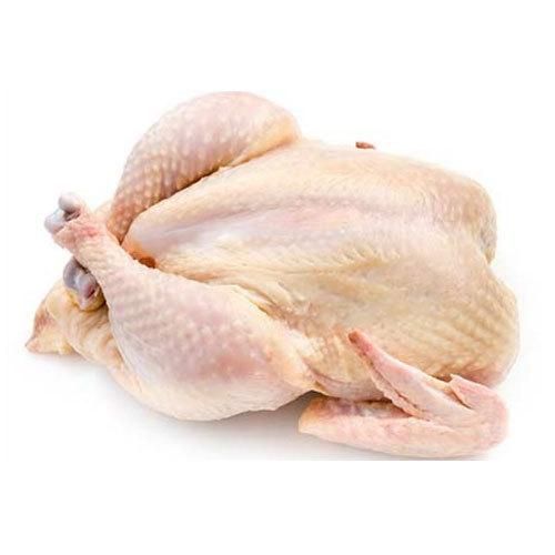 Wholesale Frozen Chicken Body Feet High Quality Vacuum Pack Export Supplier Fast Delivery Premium Grade - Image 3